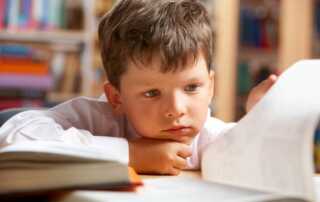 Boy concentrating on book